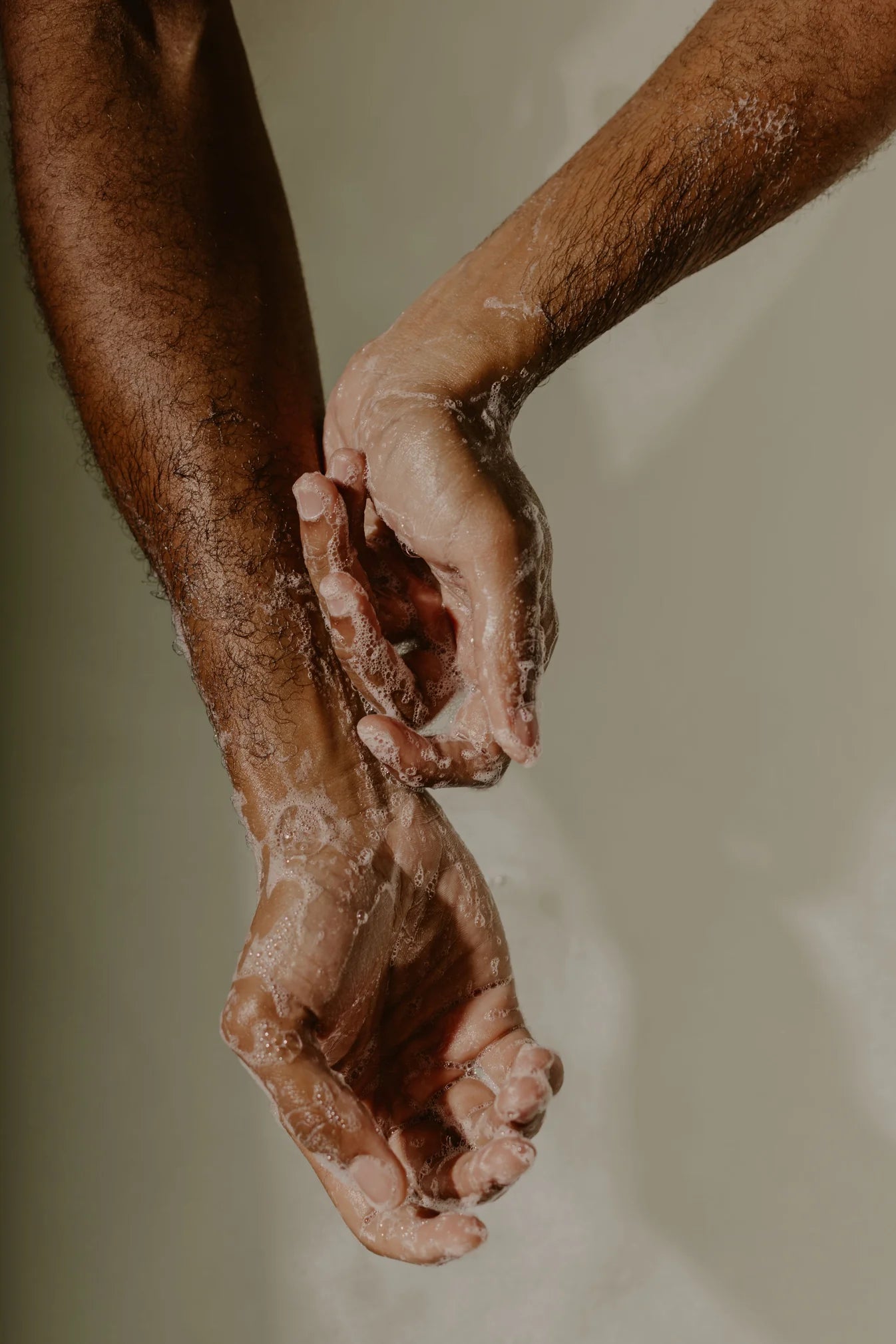 Cedarleaf and Cardamom Hand and Body Wash