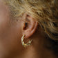 ALGAE TWIST // golden earrings