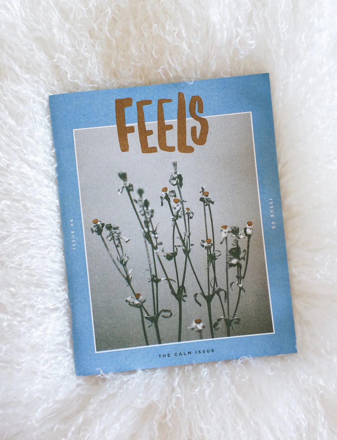 Calm - Feels