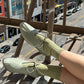 Le Bon Shoppe Her Socks in avocado cotton blend worn with sage green leather ballet flats, legs resting on a fire escape railing with a city street in the background